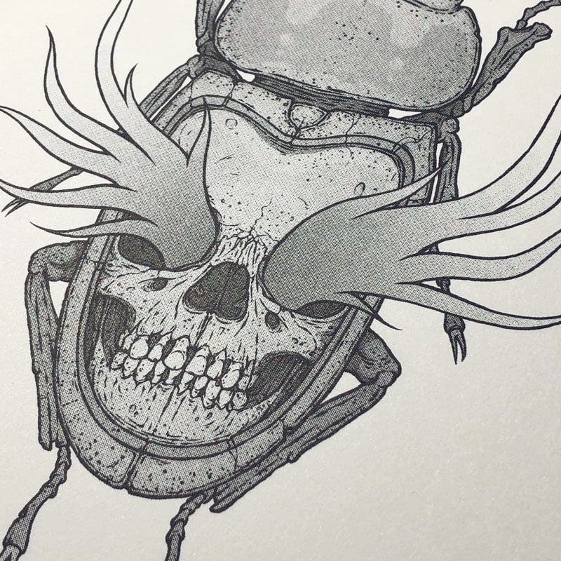 Image of THE BUG