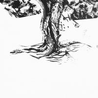Image 2 of Un albero