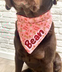 Image 6 of Valentines Personalised Dog Bandanas - Mutts About You/Bees/I Woof You