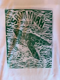 Image 3 of Seaturtle of tybee