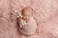 Image 2 of Little unicorn prop, photography prop