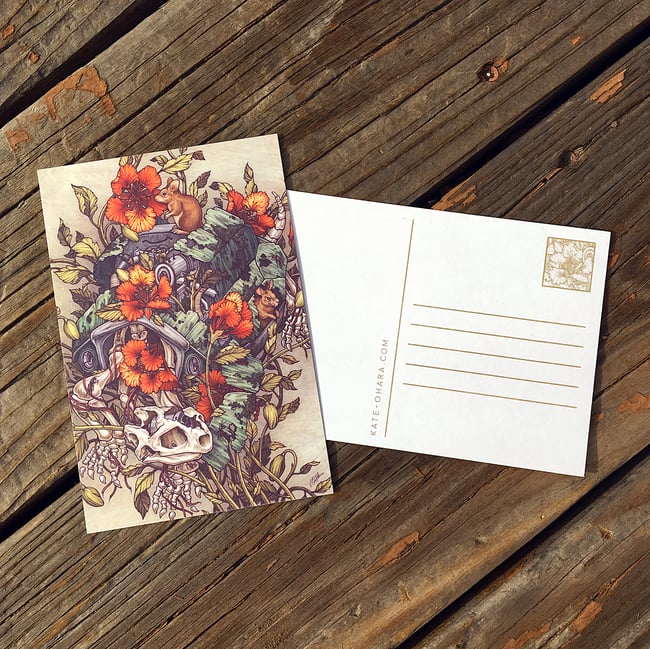 Robo Tortoise Postcard