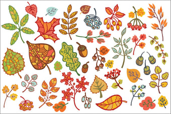 Image of Custom Order - Inessa