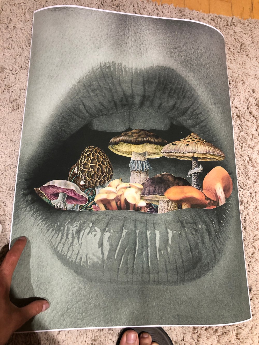 Mush mouth poster 