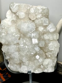 Image 11 of Apophyllite Cluster Display Specimen | India #2792