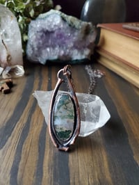 Image 2 of Moss Agate with Rib Bones #2