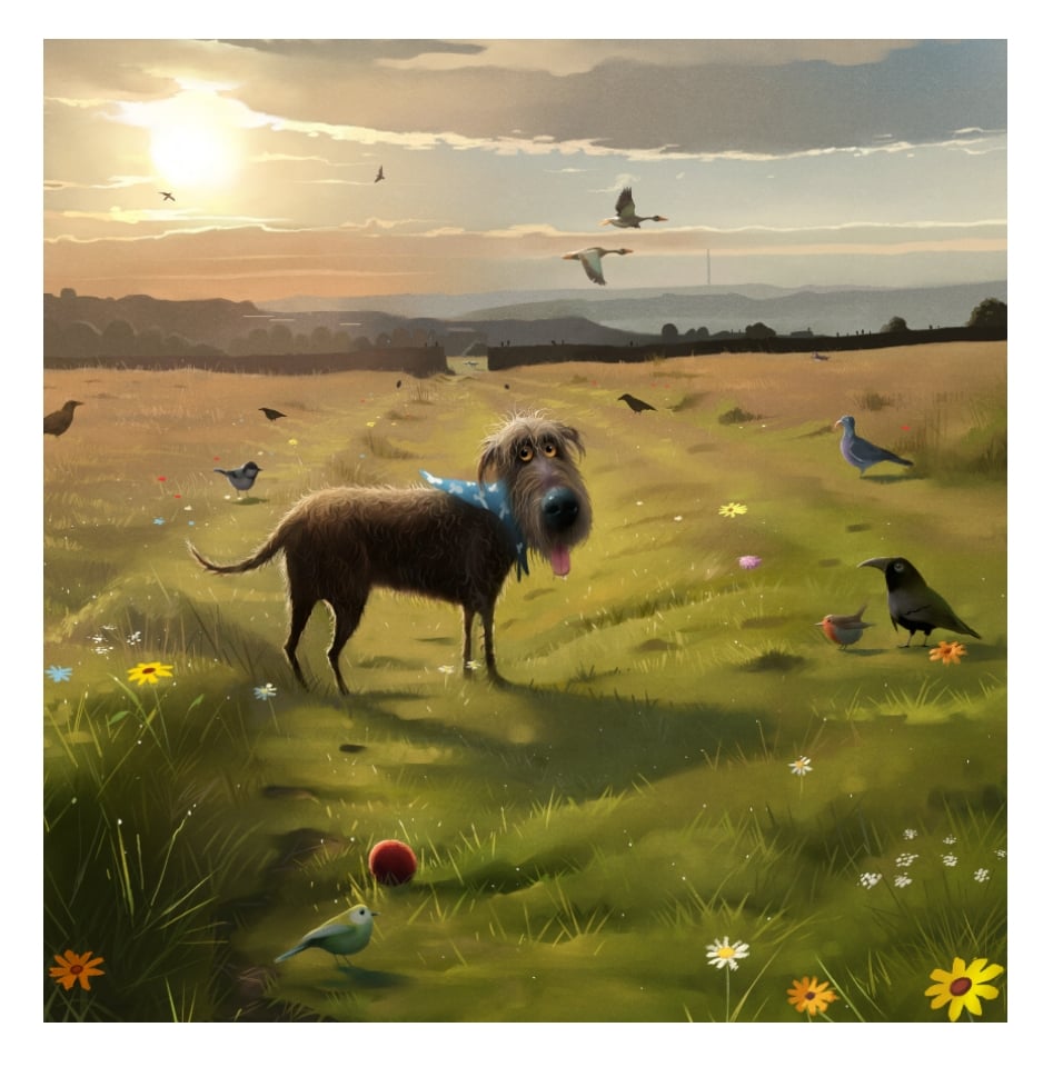 Home | Stephen Hanson Art