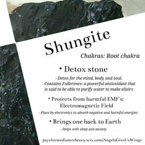 Image of Elite Shungite necklace