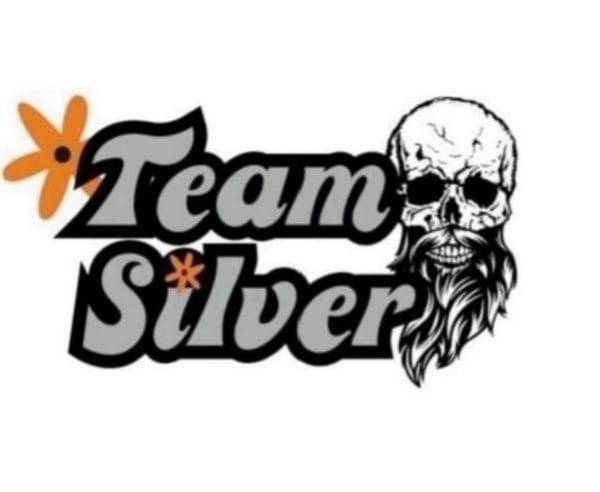 Image of Team Silver Day - 18/07/24