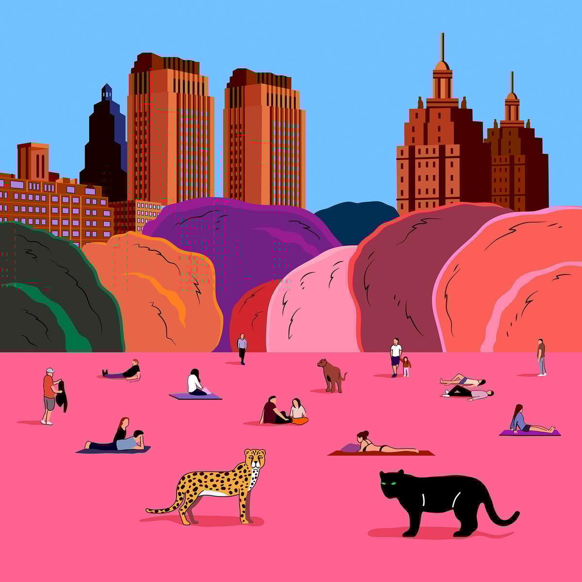 Image of Concrete Jungle