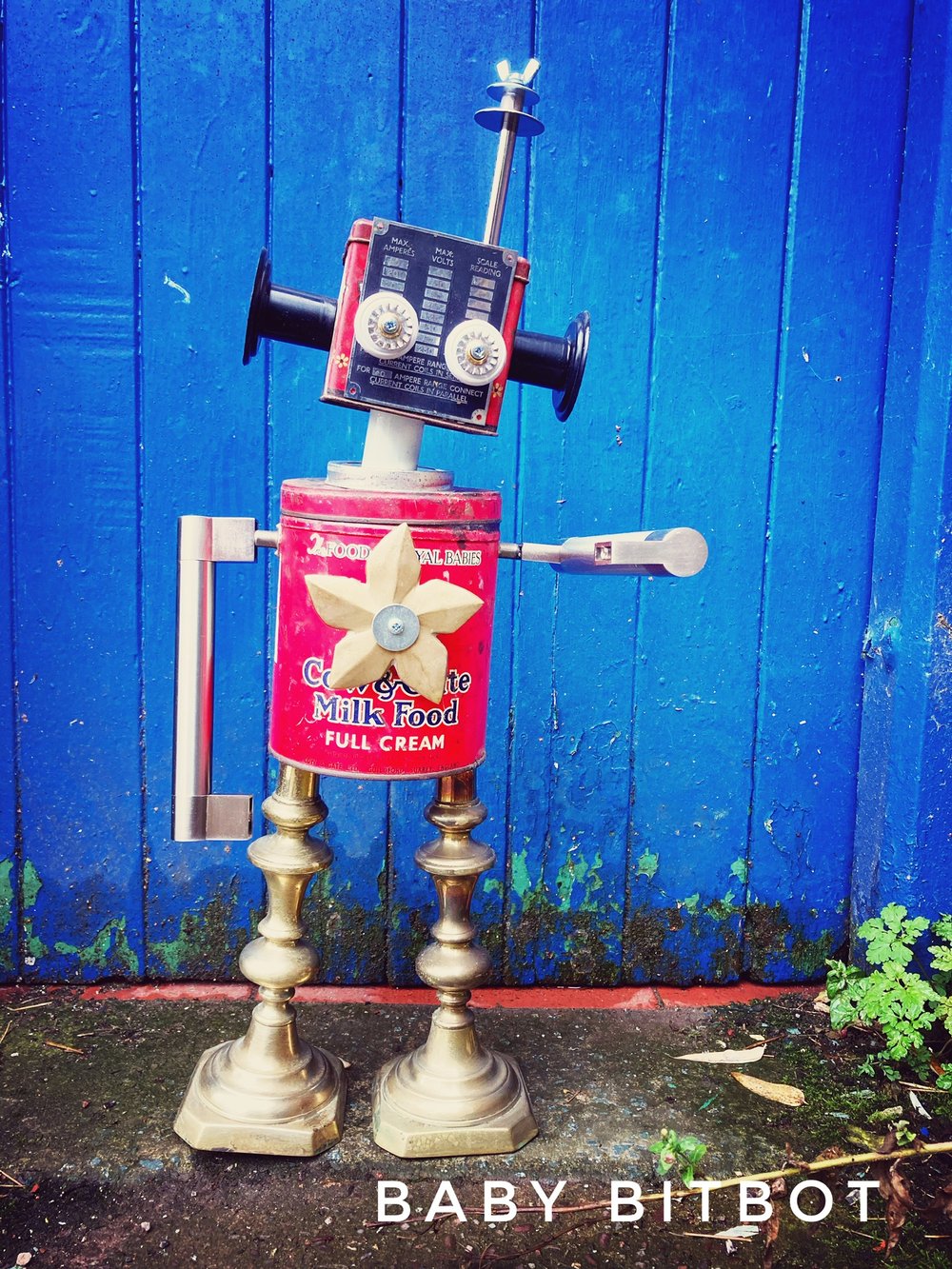 Image of Baby BitBot