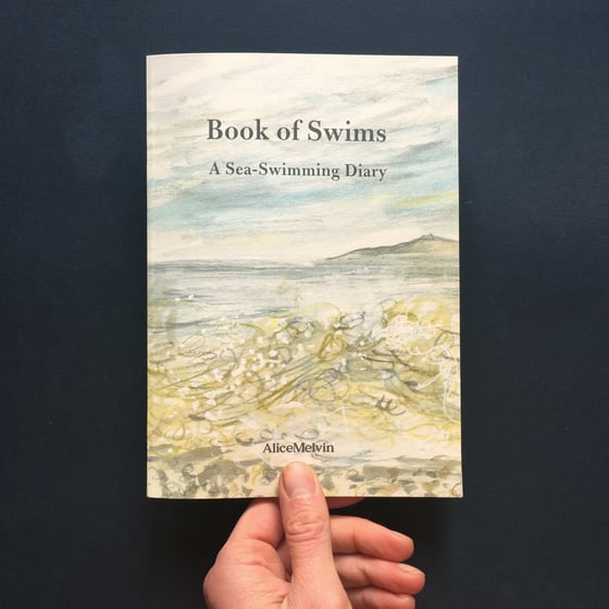 Image of Book of Swims