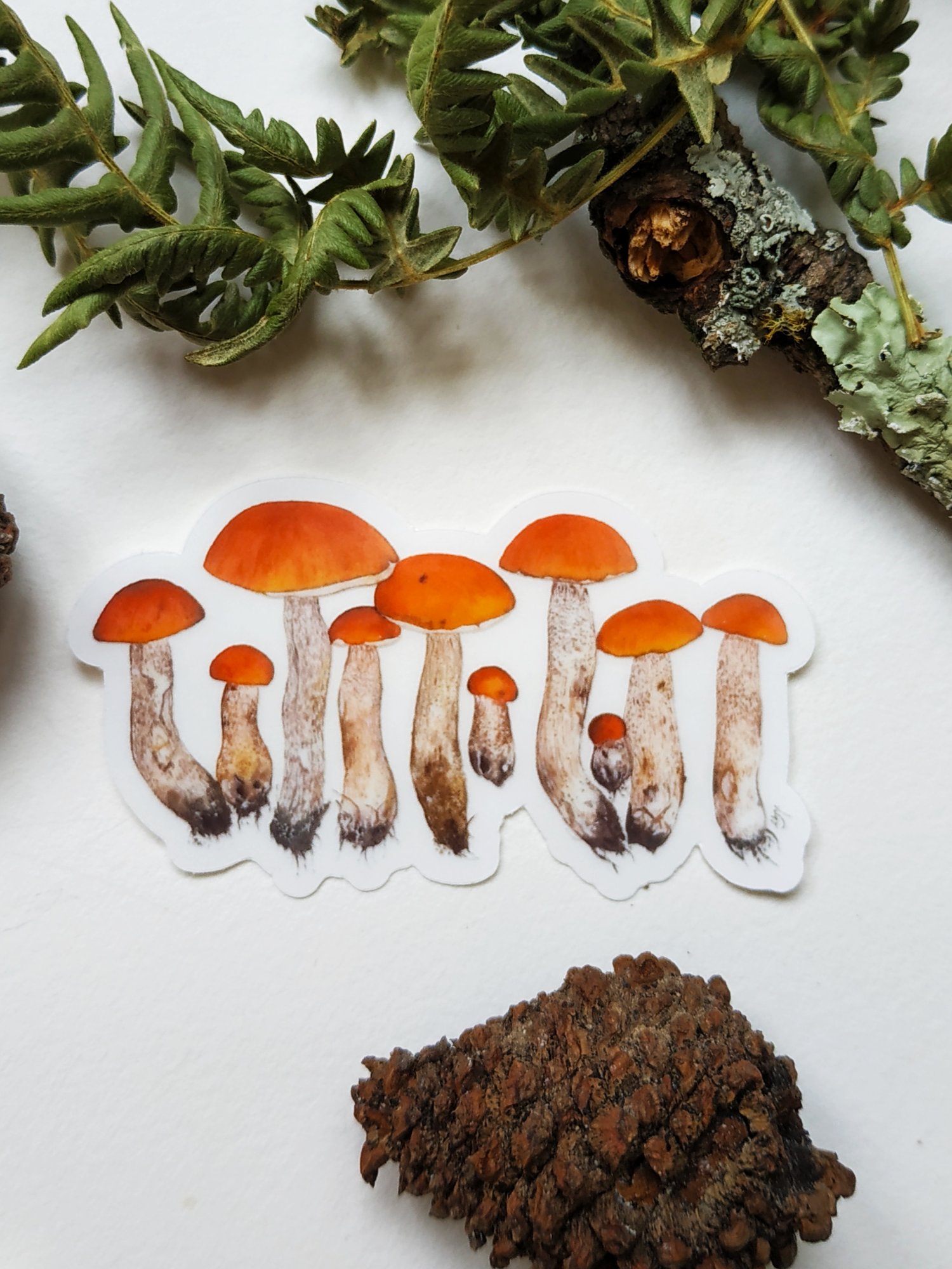 Image of Orange Boletus Clear Sticker
