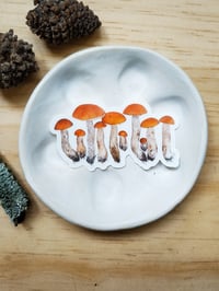 Image 3 of Orange Boletus Clear Sticker