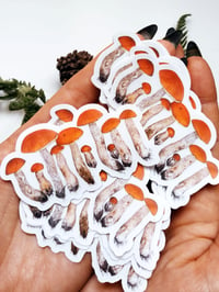 Image 4 of Orange Boletus Clear Sticker