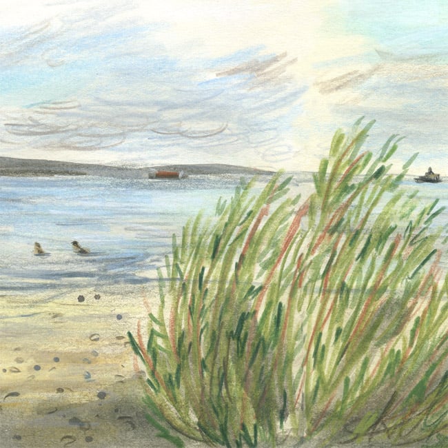 Image of Wardie Bay 29 July - Giclée Print