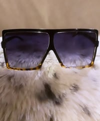 Image 5 of Exotic Kitty Shades 