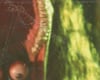 BEETLEJUICE #4
