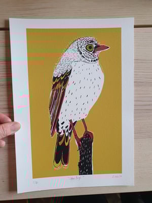 Image of A4 "Odas bird" print yellow