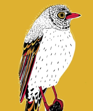 Image of A4 "Odas bird" print yellow