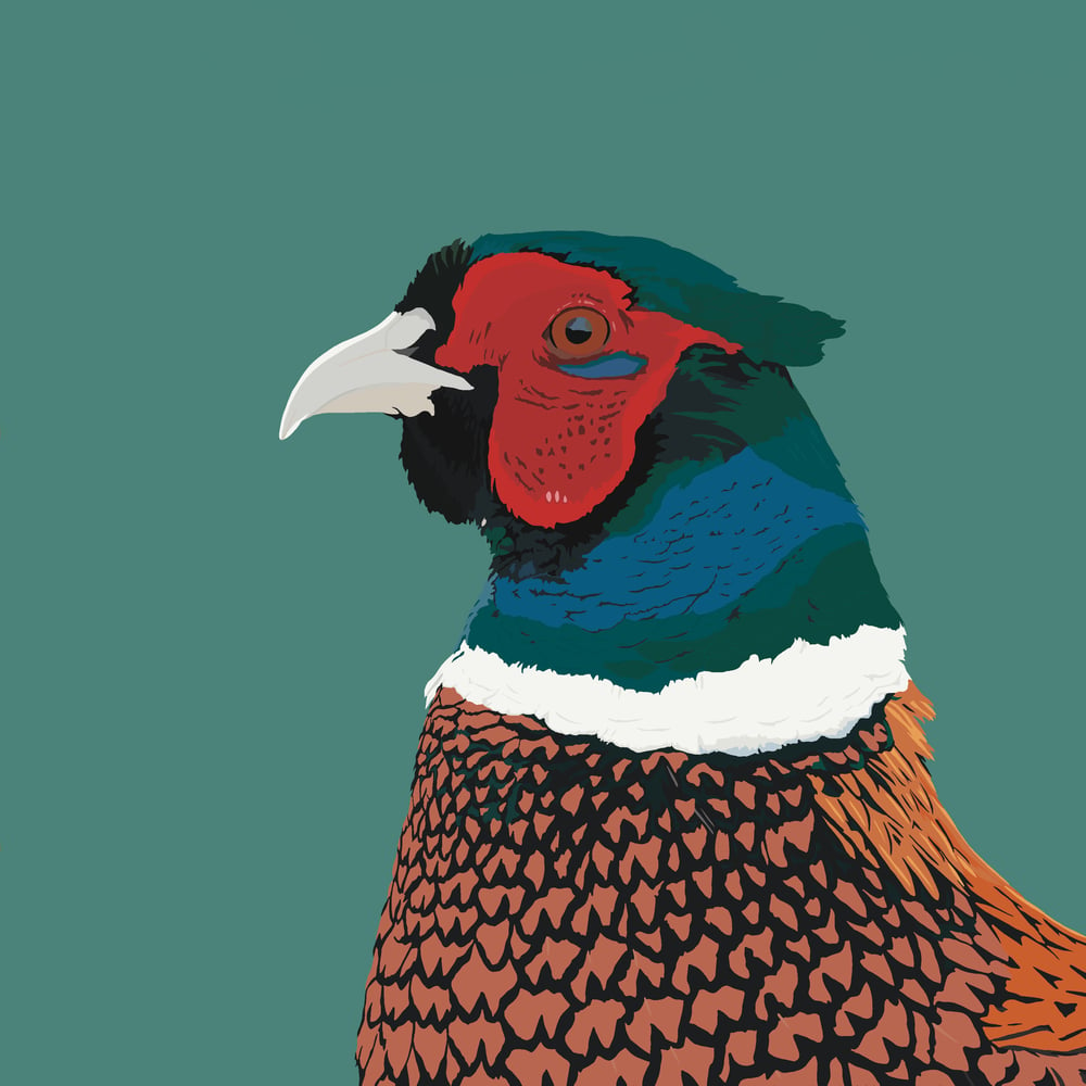 Image of Pheasant Coaster