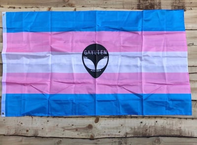 Image of GAYLIEN Trans Flag