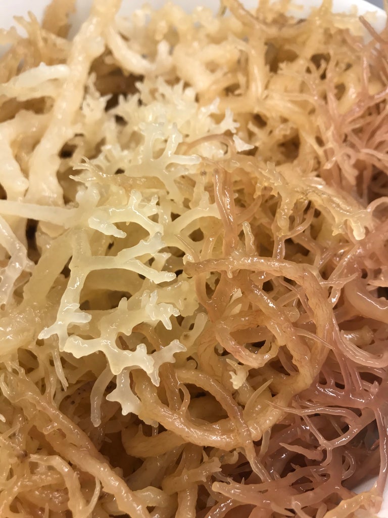 Sea Moss Gel (500ml JAR)