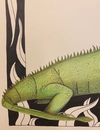 Image 2 of “I” (iguana)