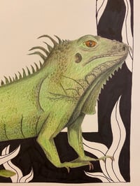 Image 3 of “I” (iguana)