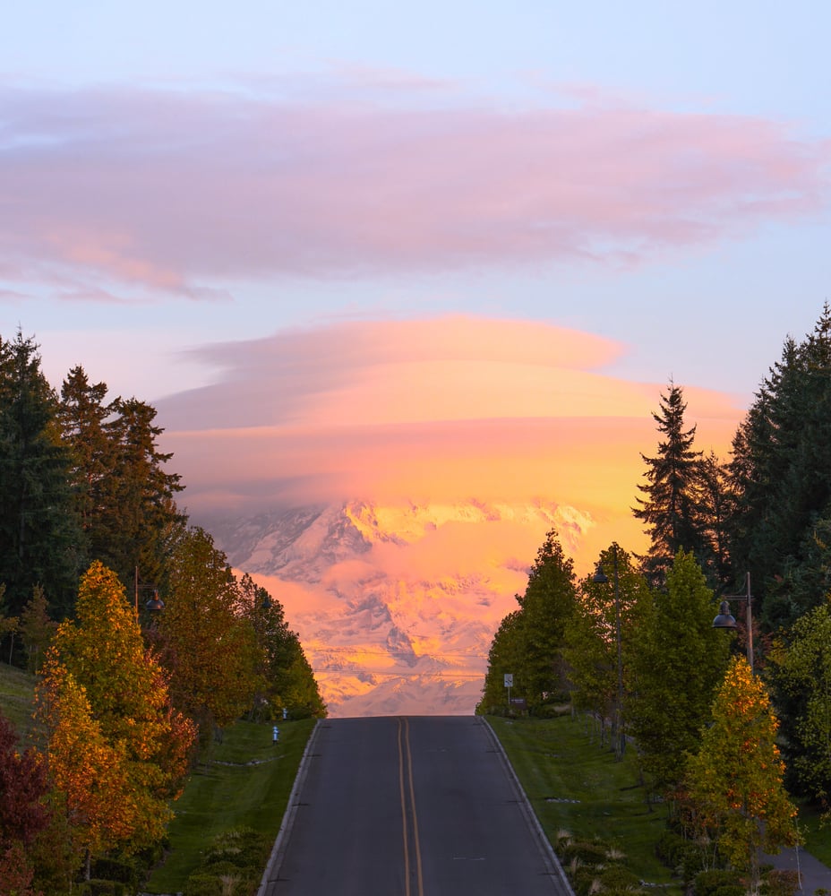 Image of Colors of Rainier 