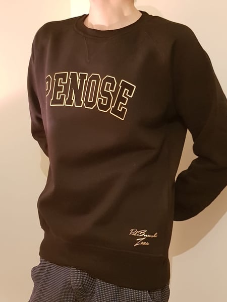 Image of Sweater "Penose"