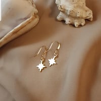 Stjärn örhänge i guld 