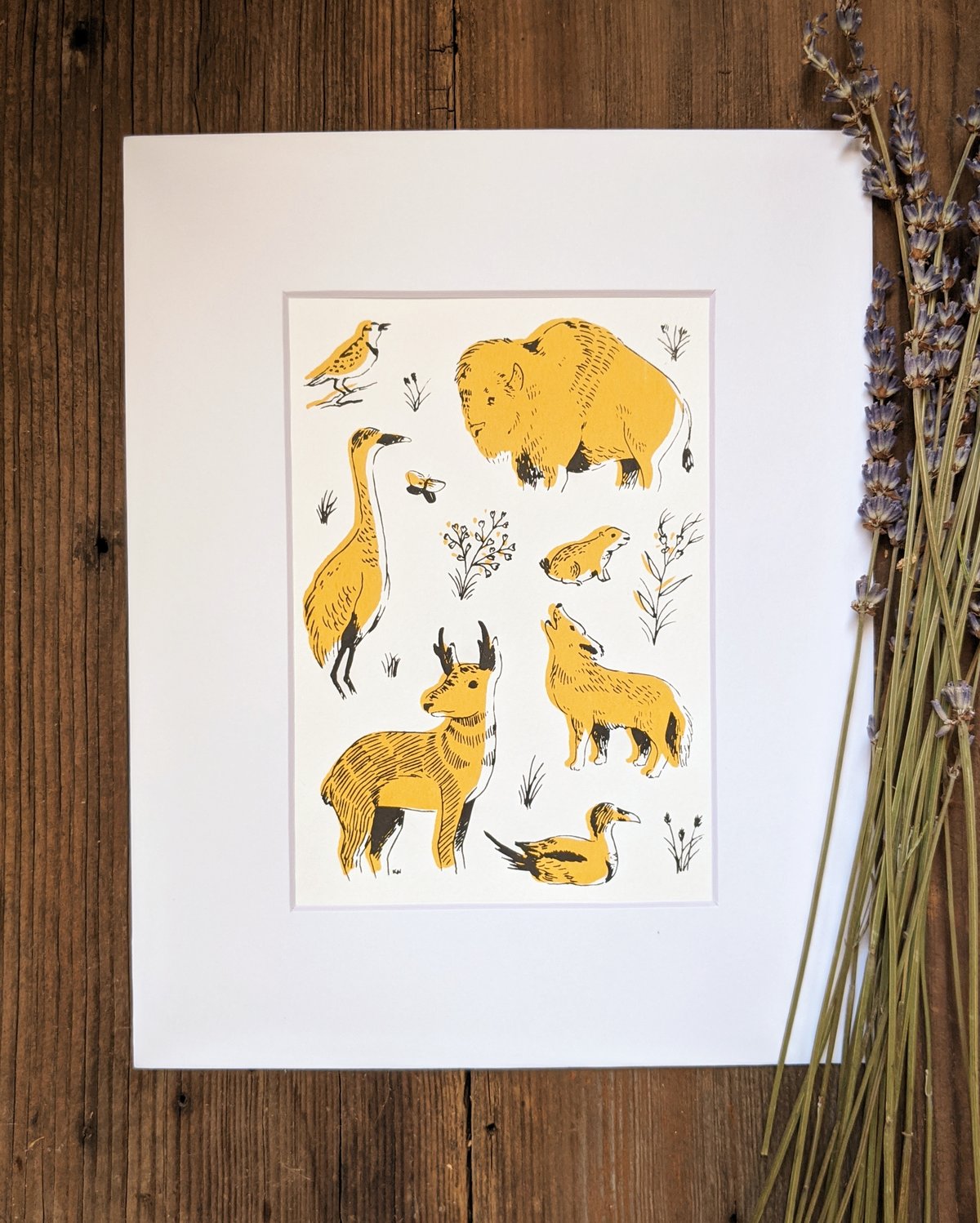 Image of Great Plains Animals Drawings & Prints