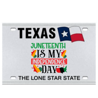 Image 1 of Texas License Plates 