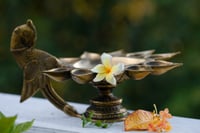 Image 1 of Peacock Oil Lamp