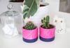 Limited edition - Pink Marble  Pot