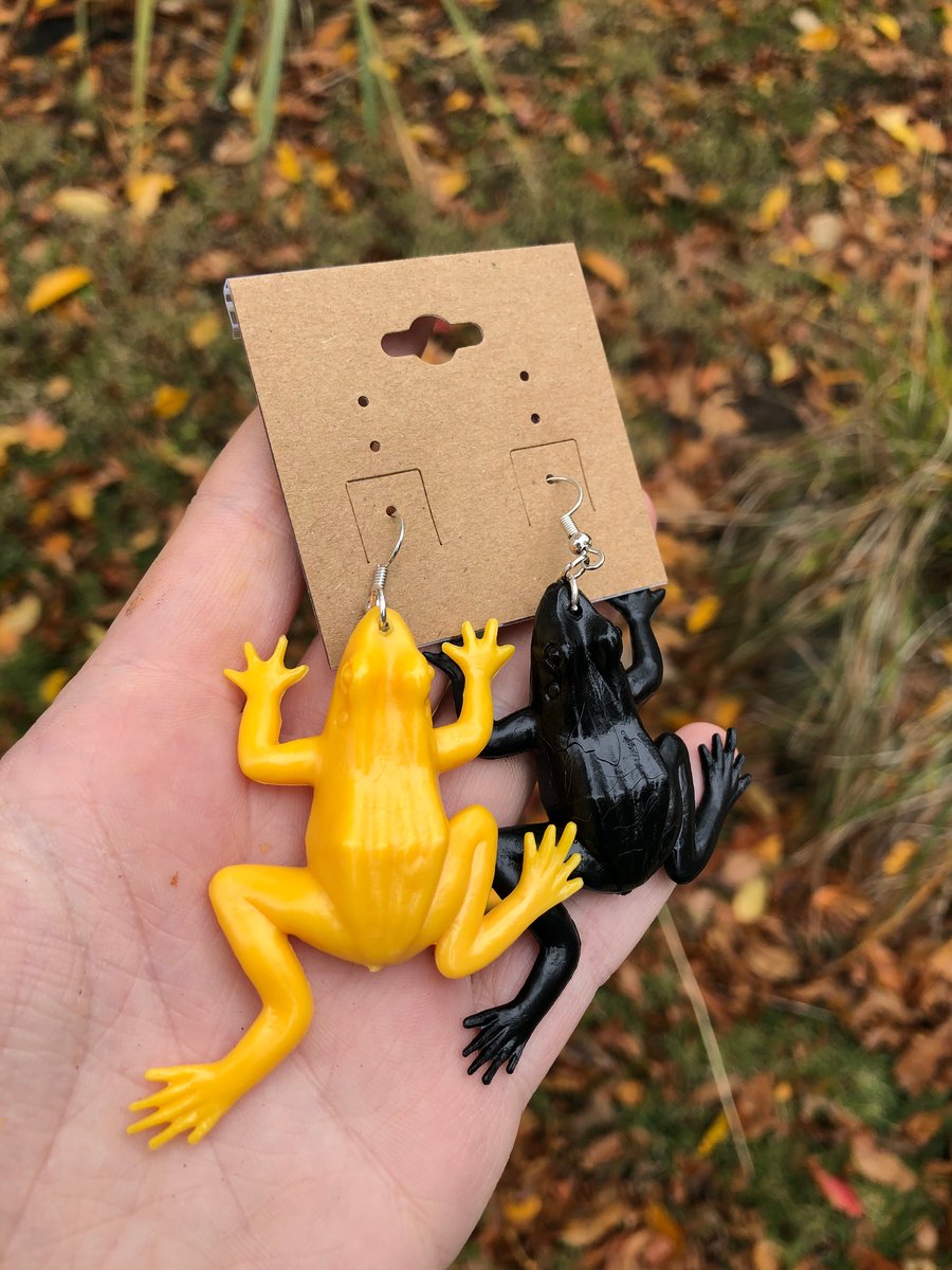 Image of Rad Ribbit Earrings 