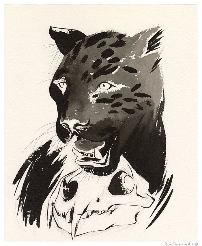 Panther Drawing Png - Black Panther Animal Drawing, Transparent Png -  kindpng