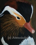 "Portrait of a Mandarin Duck"  ON SALE!