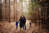 Image 1 of Weekend November Mini Deposit // Sunday Nov 16