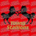 Young Stallions tag team shirt