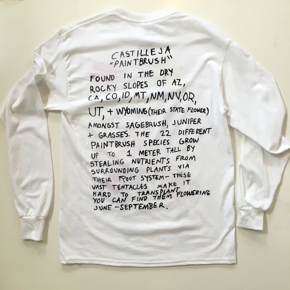 Castilleja Paintbrush Long Sleeve T-shirt
