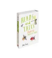 Image 3 of Heads and Tails Insects gift pack