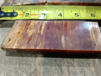 Image 5 of Ol' Bumpy - Oldest Recorded Florida Longleaf Pine