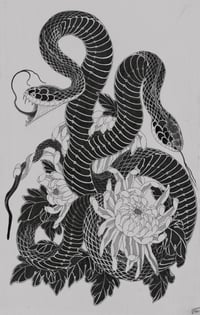 DOUBLE BLACK SNAKE 