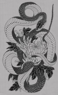 BLACK SNAKE KIKUS