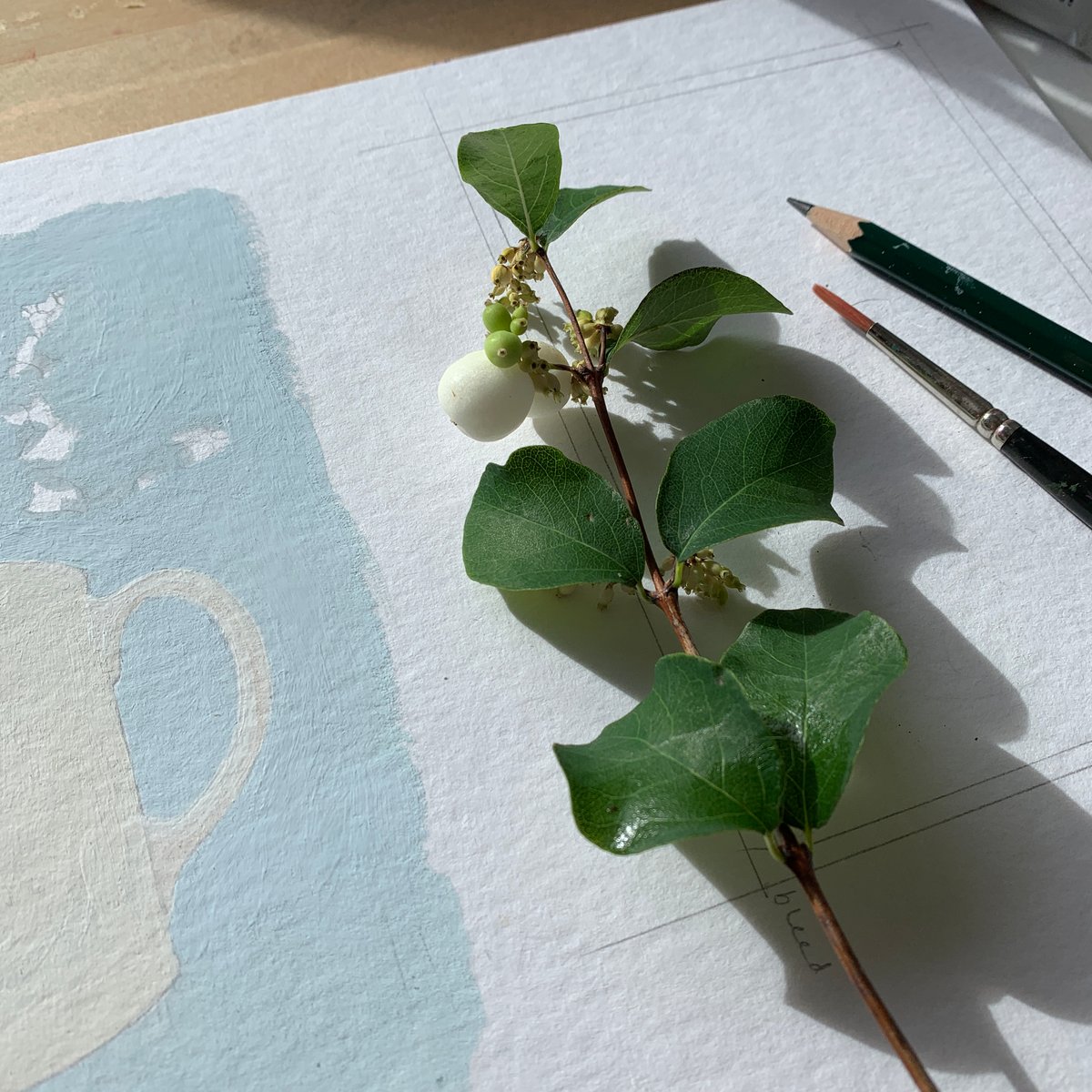 Snowberries in Pheasant Jug Print & Cards