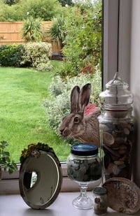 Image 3 of Hartley Hare ~ Removable Wall sticker