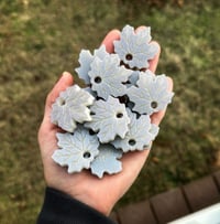 Image 1 of Frosted Maple Leaf