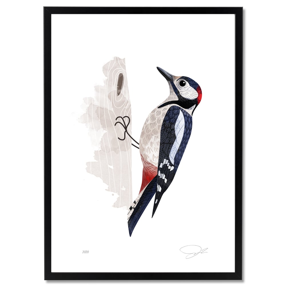 Print: Woodpecker (Buntspecht)